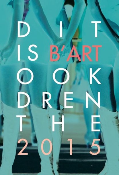B'ART 2015, Leny Hamminga - Gebonden - 9789065096104