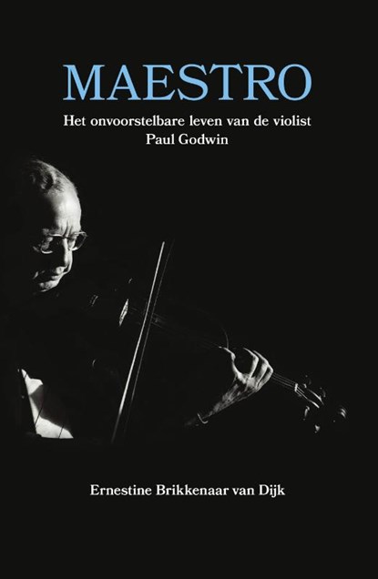 Maestro, Ernestine Brikkenaar van Dijk - Paperback - 9789065234537