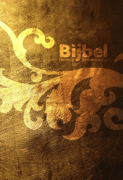 Bijbel, Stichting HSV - Gebonden - 9789065393470