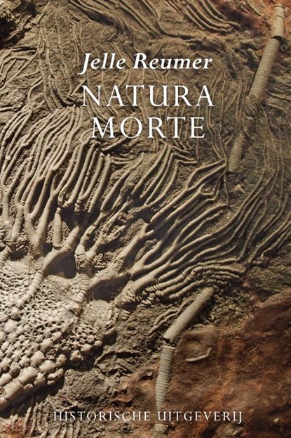 Natura morte, Jelle Reumer - Paperback - 9789065540256