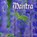Mantra, J.C. van der Heide - AVM - 9789065860323