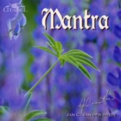 Mantra, J.C. van der Heide - AVM - 9789065860323