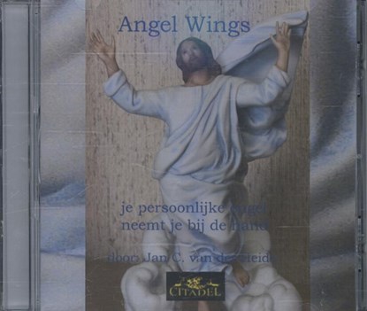 Angel wings, Jan C. van der Heide - AVM - 9789065860897