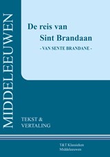 De reis van Sint Brandaan - Hessel Adema - 9789066200531