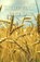 Licht voor elke dag, Samuel Bagster - Paperback - 9789066591769