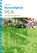 Basisveiligheid VCA voor de groen-grijze sector, Gerard de Groot - Paperback - 9789067206082