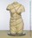 Het lichaam verbeeld, Alex de Vries - Overig - 9789069183053