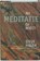 Meditatie nu of nooit, HAGEN, Steve - Gebonden met stofomslag - 9789069638188