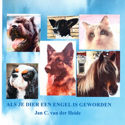Als je dier een engel is geworden, Jan C. van der Heide - Luisterboek MP3 - 9789070774493