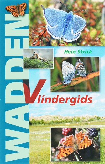 Wadden Vlindergids, H. Strick - Paperback - 9789070886714