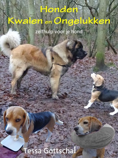 Honden kwalen en ongelukken, Tessa Gottschal - Ebook - 9789071878244