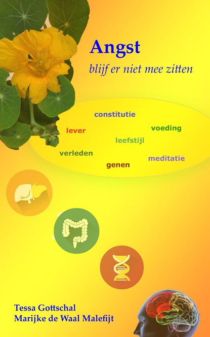 Angst, Tessa Gottschal ; Marijke de Waal Malefijt - Ebook - 9789071878299