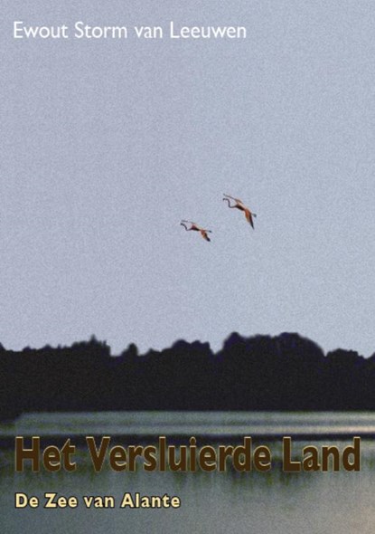 Het Versluierde Land 5, E. Storm van Leeuwen - Paperback - 9789072475114