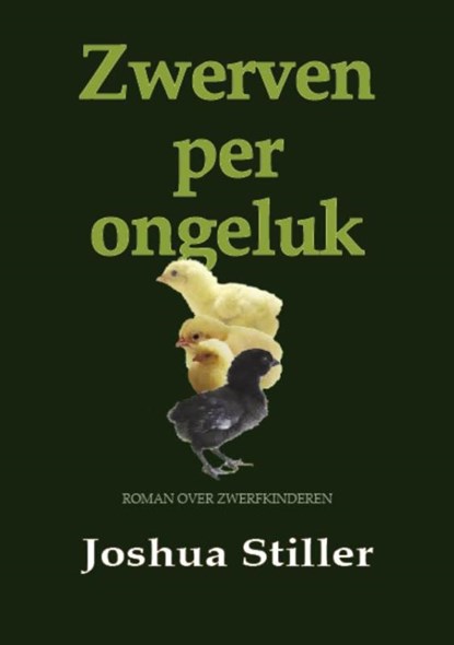 Zwerven per ongeluk, Joshua Stiller - Paperback - 9789072475305