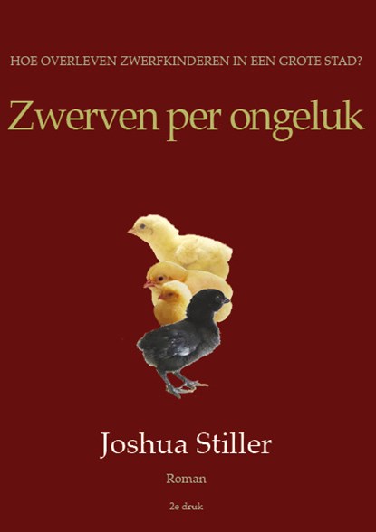 Zwerven per ongeluk, Joshua Stiller - Paperback - 9789072475534