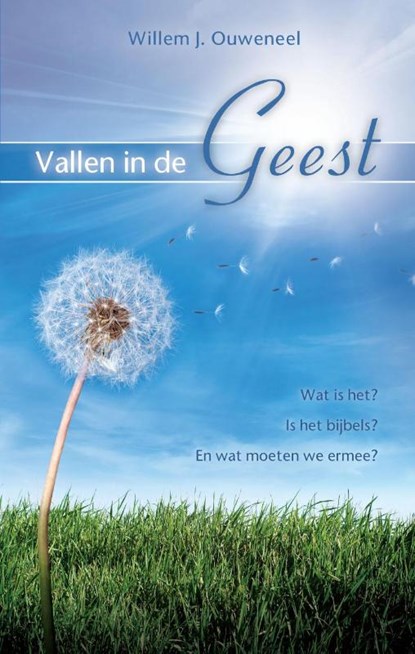 Vallen in de Geest, Willem J. Ouweneel - Paperback - 9789075226898