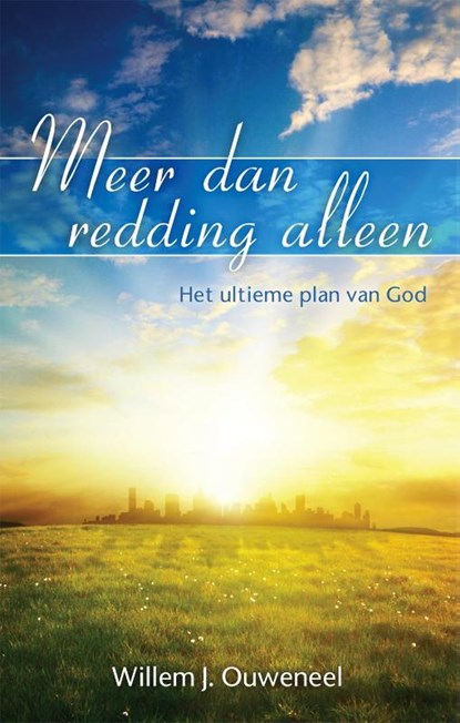 Meer dan redding alleen, Willem J. Ouweneel - Paperback - 9789075226966