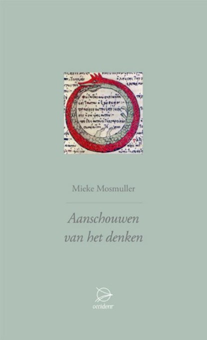 Aanschouwen van het denken, Mieke Mosmuller - Gebonden - 9789075240245