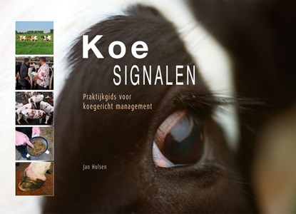 Koesignalen, Jan Hulsen - Paperback - 9789075280470