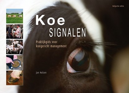 Koesignalen, Jan Hulsen - Paperback - 9789075280616