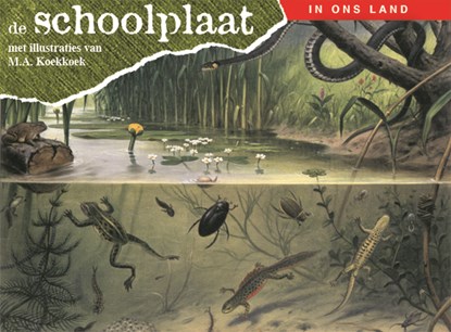 De schoolplaat In ons land, niet bekend - Gebonden - 9789075531343