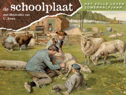 Schoolplaat het volle leven zomerhalfjaar, F. van Dulmen - Gebonden - 9789075531633