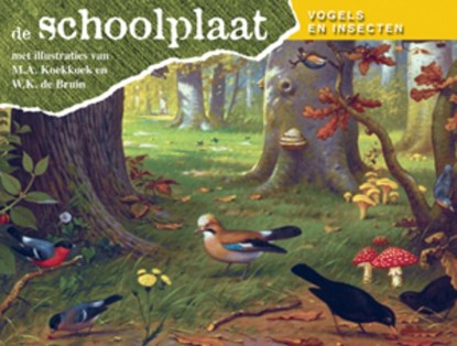 De Schoolplaat Vogels en Insecten, niet bekend - Gebonden - 9789075531893