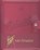 Schande!, Peter van Straaten - Gebonden - 9789076168838