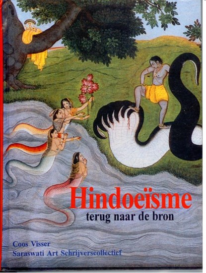 Hindoeisme, Coos Visser - Gebonden - 9789076389028
