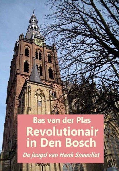 Revolutionair in Den Bosch, Bas van der Plas - Paperback - 9789076539065