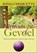 Vertrouw je gevoel, Sonia Choquette - Paperback - 9789076541280