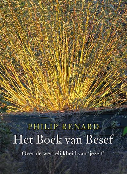 Het boek van besef, Philip Renard - Paperback - 9789076681009