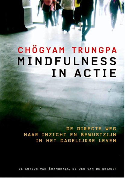 Mindfulness in actie, Chögyam Trungpa - Paperback - 9789076681252