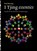 I Tjing essenties, Han Boering - Paperback - 9789076681344