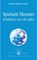 Spirituele Meesters, Omraam Mikhaël Aïvanhov - Paperback - 9789076916484