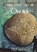 Het Pad van de Druide, Philip Carr-Gomm - Paperback - 9789077153215