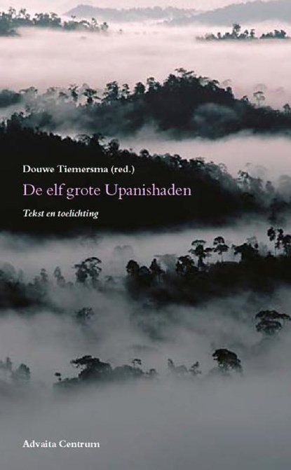 De elf grote Upanishaden, Douwe Tiemersma - Paperback - 9789077194010