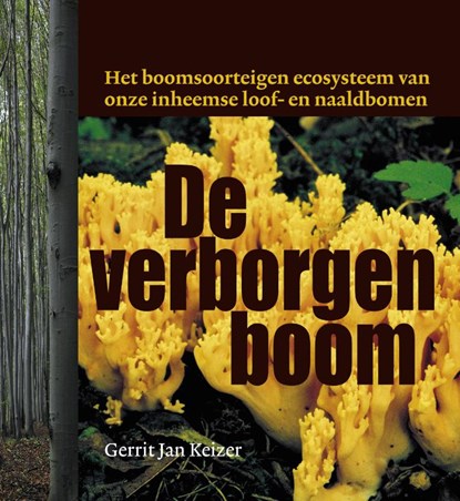 De verborgen boom, Gerrit Jan Keizer - Paperback - 9789077408988