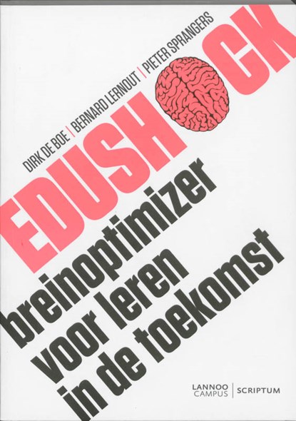 Edushock, Dirk de Boe ; Bernard Lernout ; Pieter Sprangers - Paperback - 9789077432501