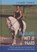 In balans met je paard, Lisanne Thomas - Gebonden - 9789077462690