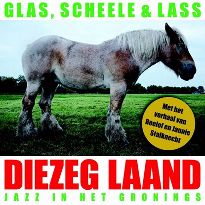 Diezeg laand, ILLAND PIETERSMA ; ERIK HARTEVELD ; JAN GLAS ; GLAS,  Scheele & Lass - Gebonden - 9789077487990