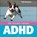 Alle honden hebben ADHD, K. Hoopmann - Gebonden - 9789077671351