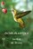 Gelukskaartjes, Saskia de Bruin - Losbladig - 9789077770498