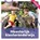 Meesterlijk Kleuteronderwijs, Sander Gordijn - Gebonden - 9789077866603