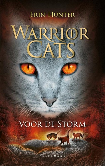 Voor de storm, Erin Hunter - Gebonden - 9789078345312