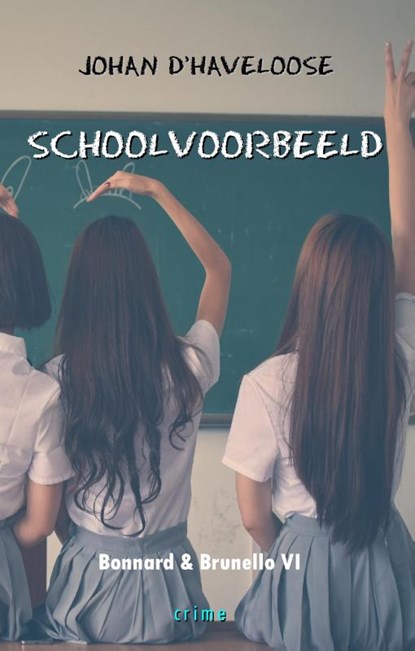 Schoolvoorbeeld, Johan D' HAVELOOSE - Paperback - 9789078459972
