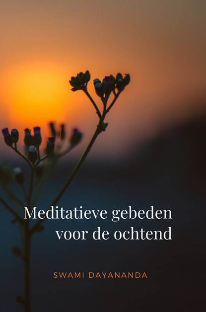 Meditatieve gebeden voor de ochtend, Swami Dayananda - Ebook - 9789078555223