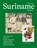Het grote Suriname magazine, niet bekend - Paperback - 9789078653820