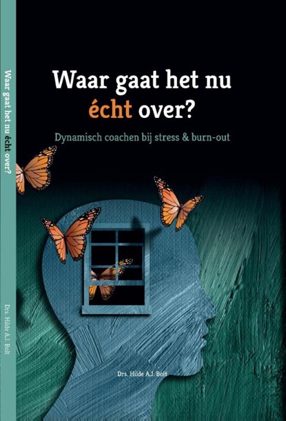 Waar gaat het nu écht over?, Hilde A.J. Bolt - Gebonden - 9789078876175