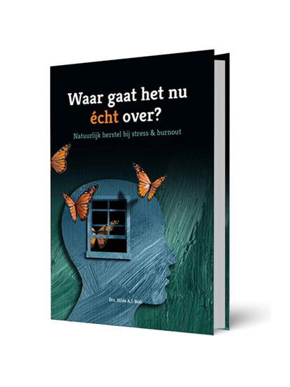 Waar gaat het nu echt over?, Hilde Bolt - Gebonden - 9789078876403